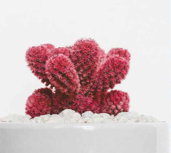 充值市场可靠的ddos压力测试平台