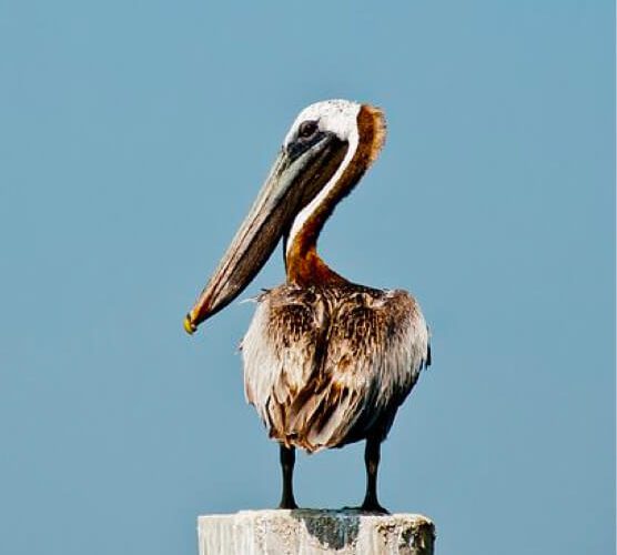 在线DDOS压力测试网页端